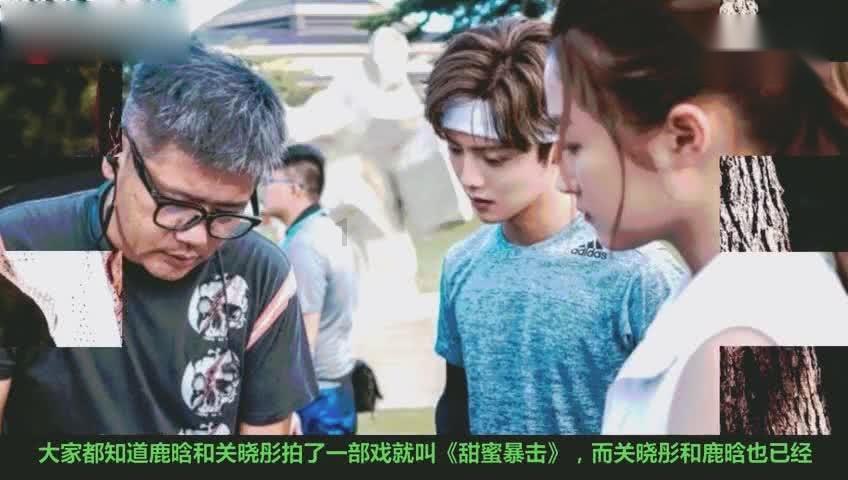 全民烧脑3去广告版